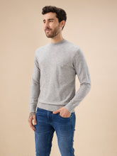 Men's Solid Textured Full Sleeves Round Neck Regular Fit Fleece Sweater
